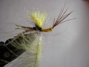 Montage de mouche