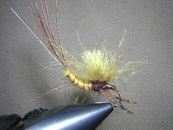 Fiche de montage : La Pranal (mouche de mai)