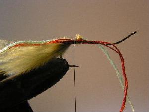 Montage de mouche