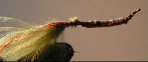 Montage de mouche