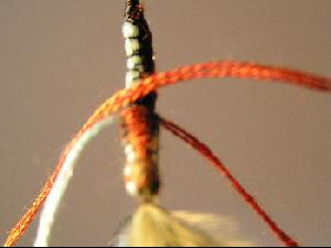 Montage de mouche