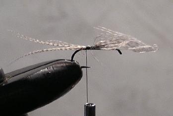 Montage de mouche