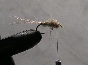 Montage de mouche