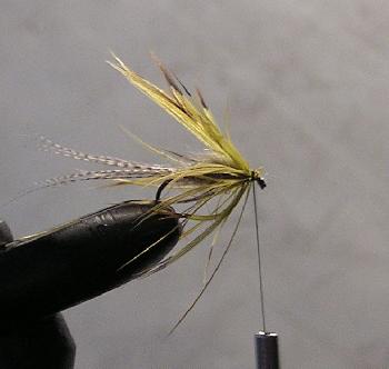 Montage de mouche