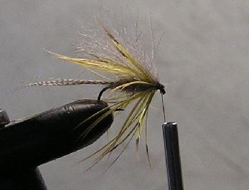 Montage de mouche