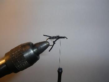 Montage de mouche