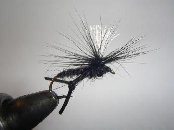 Fiche de montage : Bibio parachute