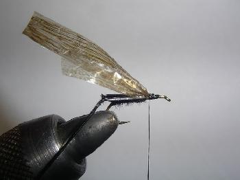 Montage de mouche