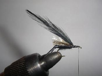Montage de mouche