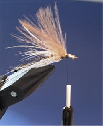 Montage de mouche