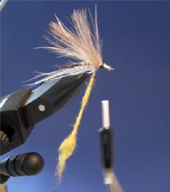 Montage de mouche