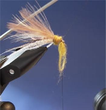 Montage de mouche