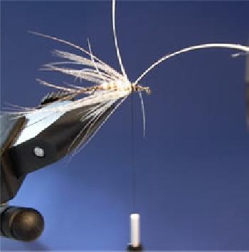 Montage de mouche
