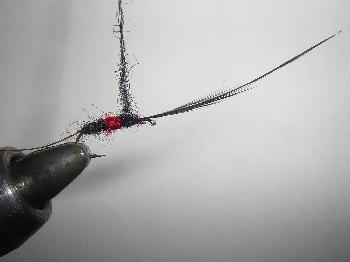 Montage de mouche