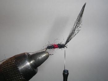 Montage de mouche
