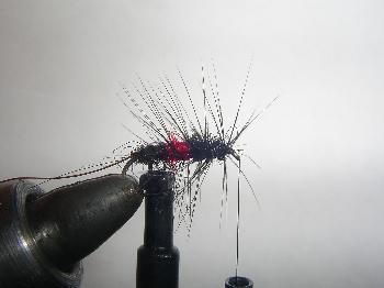 Montage de mouche