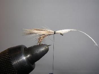Montage de mouche