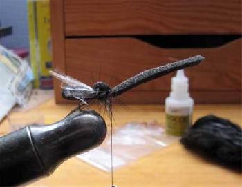 Montage de mouche