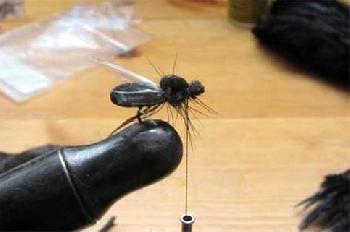 Fiche de montage : Bibio Marci, Mouche de l’Aubépine ou de la Saint Marc