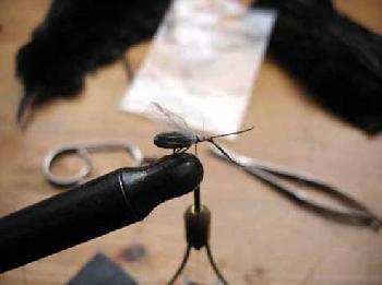 Montage de mouche