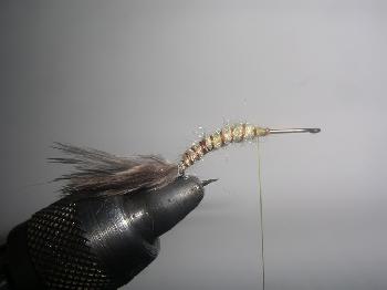 Montage de mouche