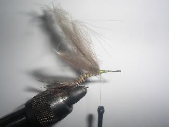 Montage de mouche