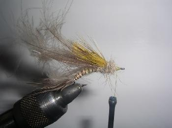 Montage de mouche