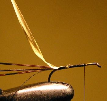Montage de mouche