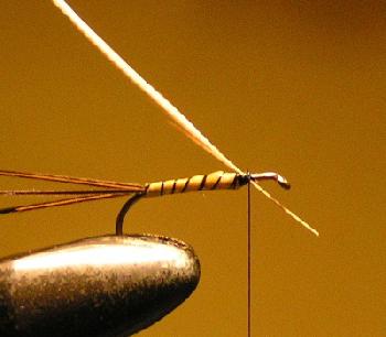 Montage de mouche