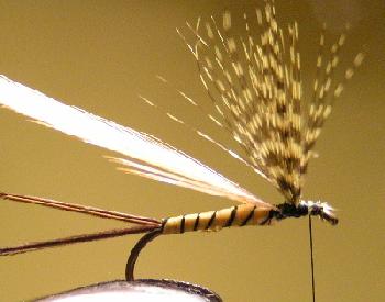 Montage de mouche
