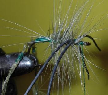 Montage de mouche