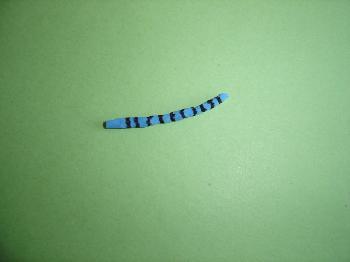Montage de mouche