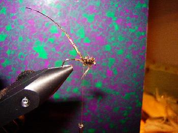 Montage de mouche