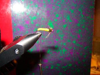 Montage de mouche