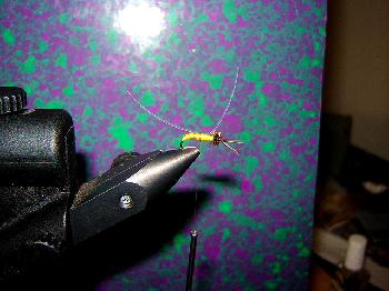 Montage de mouche