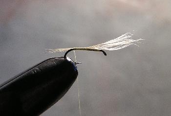Montage de mouche