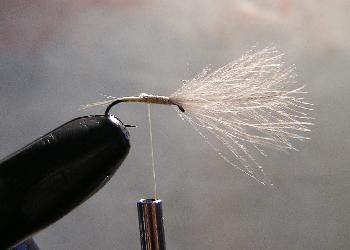 Montage de mouche