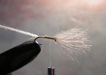 Montage de mouche