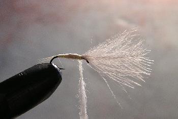 Montage de mouche