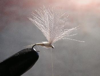 Montage de mouche