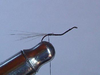 Montage de mouche