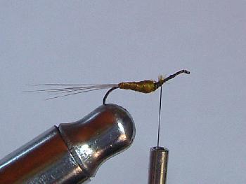 Montage de mouche