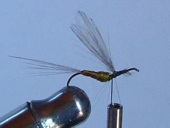 Montage de mouche