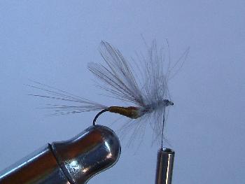 Montage de mouche