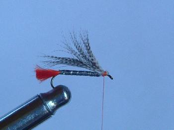 Montage de mouche