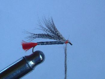 Montage de mouche