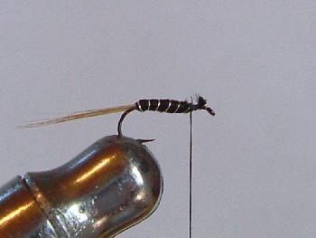 Montage de mouche