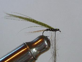 Montage de mouche