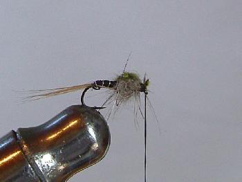 Montage de mouche