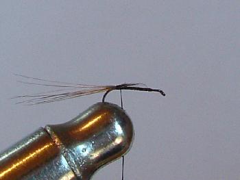 Montage de mouche